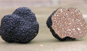 italian-food-excellence-truffles-black